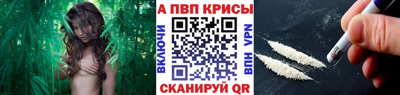 Наркошоп купить Канабис  A PVP  ГАШ  Галлюциногенные грибы  COCAIN  МЕФ  Петухово