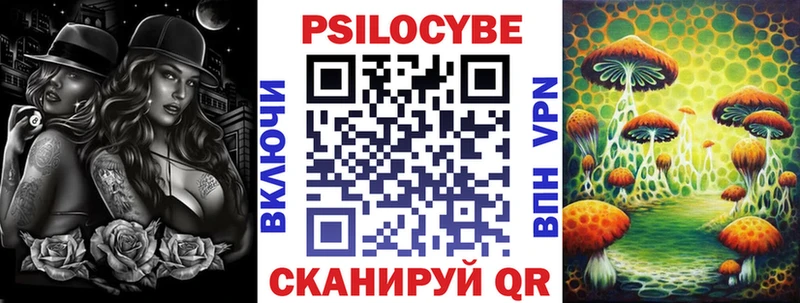 Купить где  Петухово  Псилоцибиновые грибы Magic Shrooms 